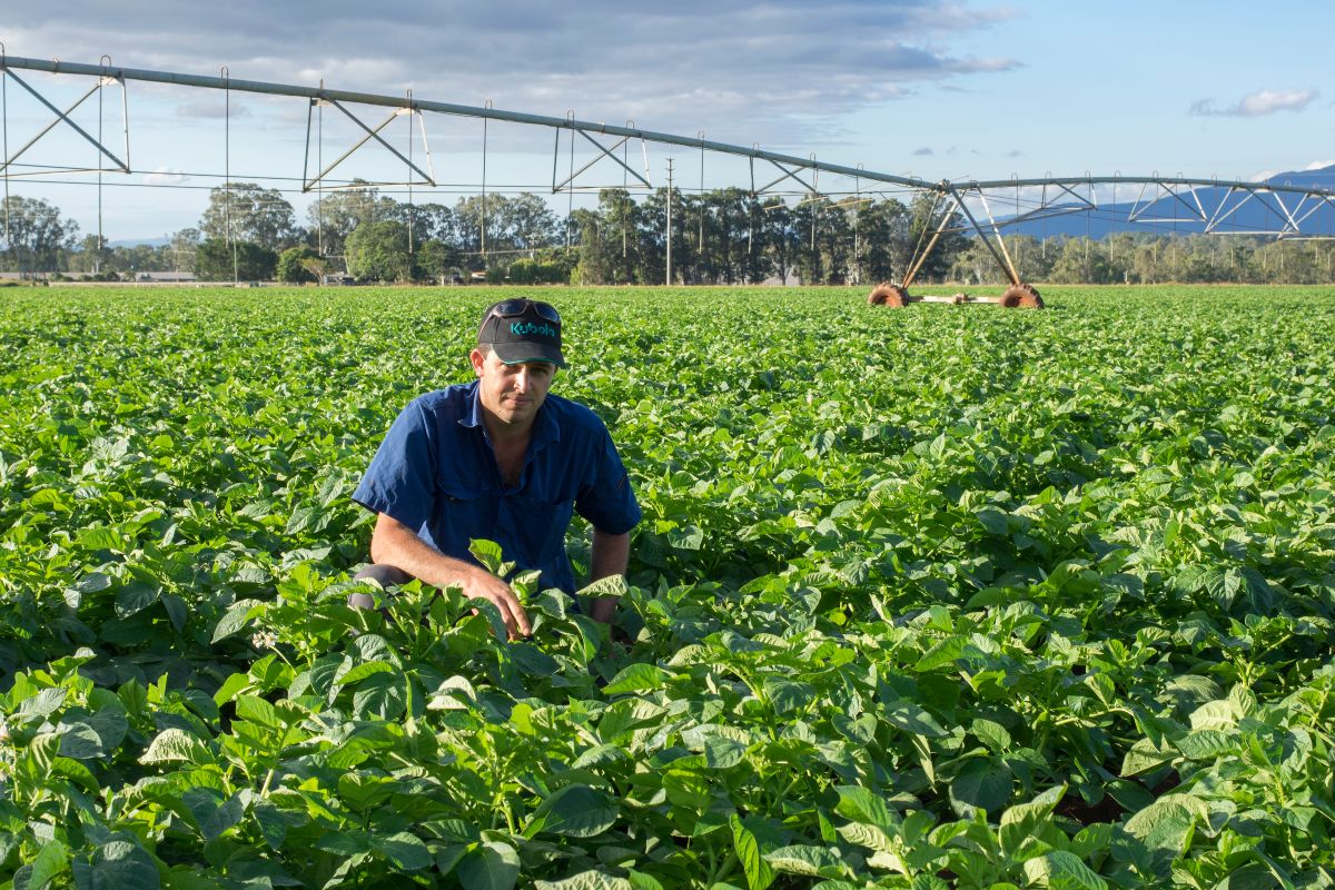 Austveg Atherton Farmer