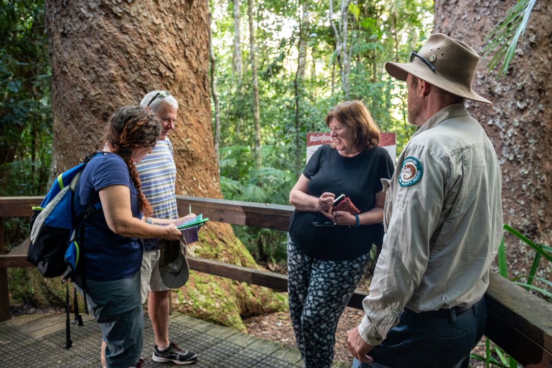 LakeBarrineNP_GiantKauriPines_08MICHAEL PETEREN_┬⌐QueenslandGovernment