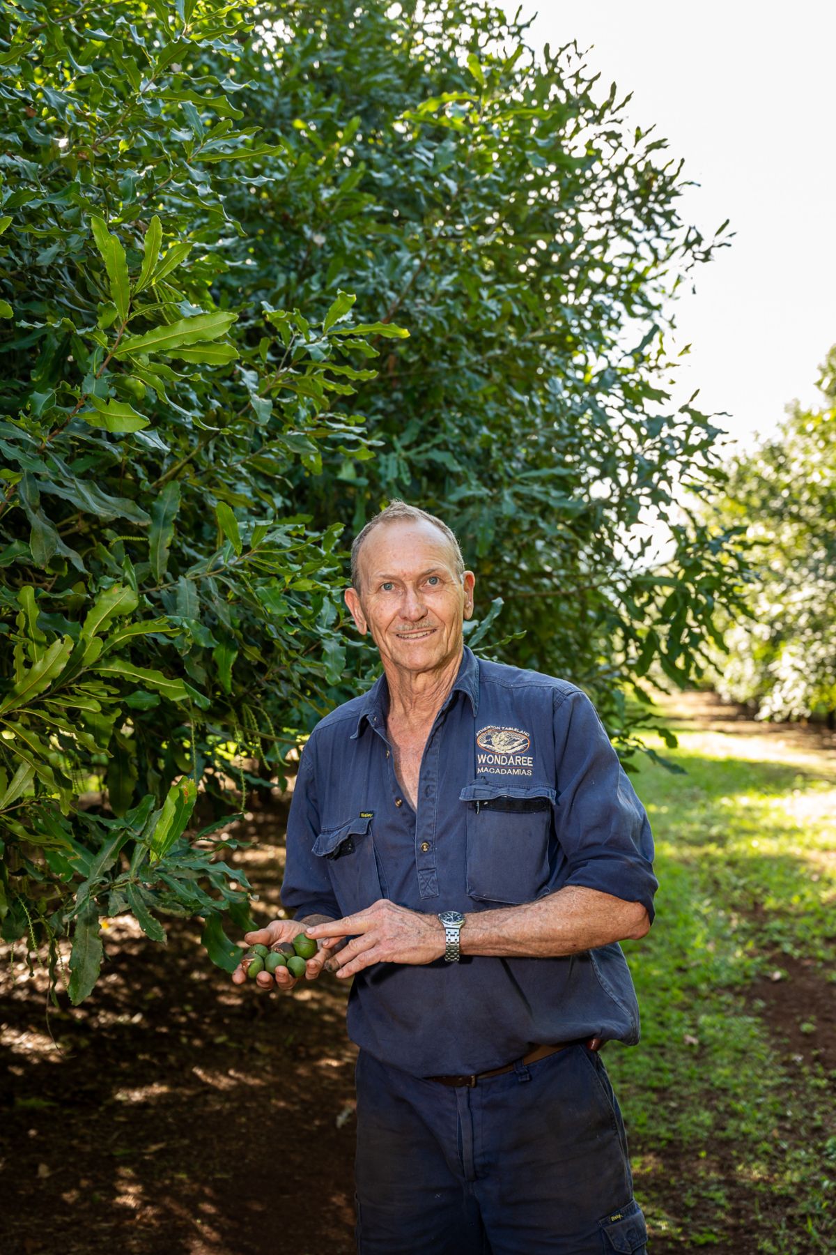 Wondaree Macadamia Farm 13
