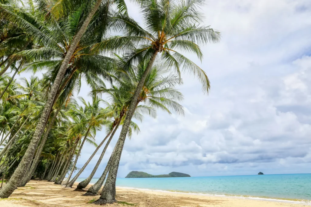 Palm Cove Beach
